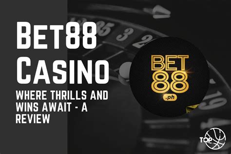 kangaroo bet88|Bet88 Review: A Top.